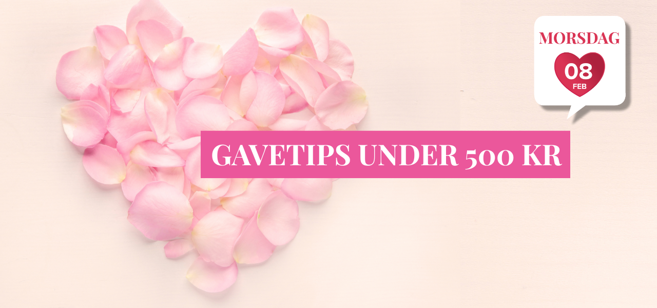 GAVETIPS UNDER 500 KR