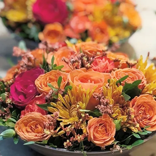 Floriss (Img 0053)