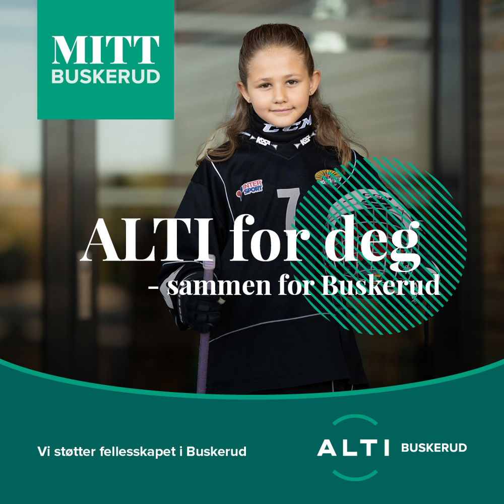 Buskerud Mitt Buskerud 500X500