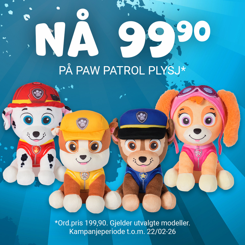 Ringo Paw Patrol 9. 22.2