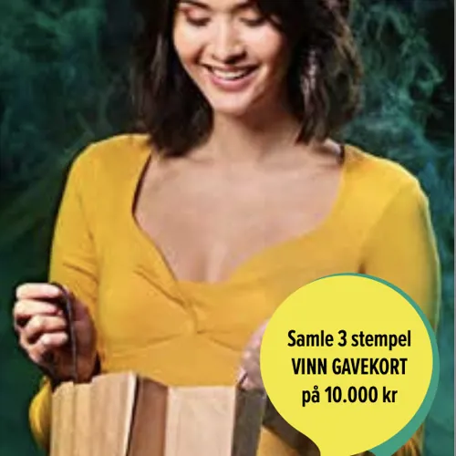 Skjermbilde 2022 11 16 Kl. 09.32.52