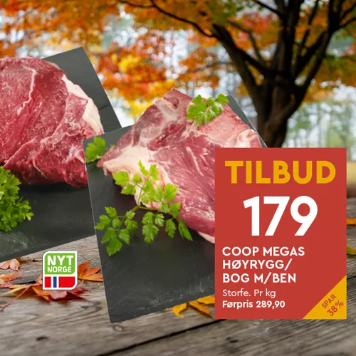 CM Høyrygg Bog M Ben U37