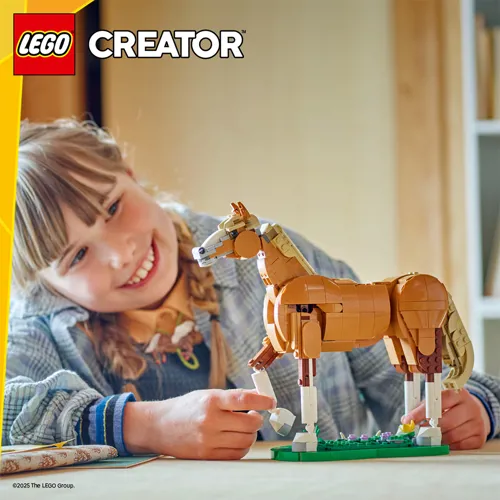 Ringo Lego Creator 25% U23 24