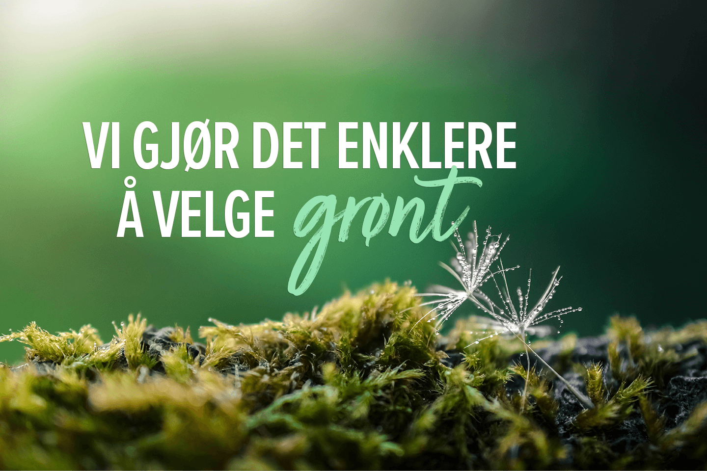 Enkeltåvelgegrønt SK3 Tiny