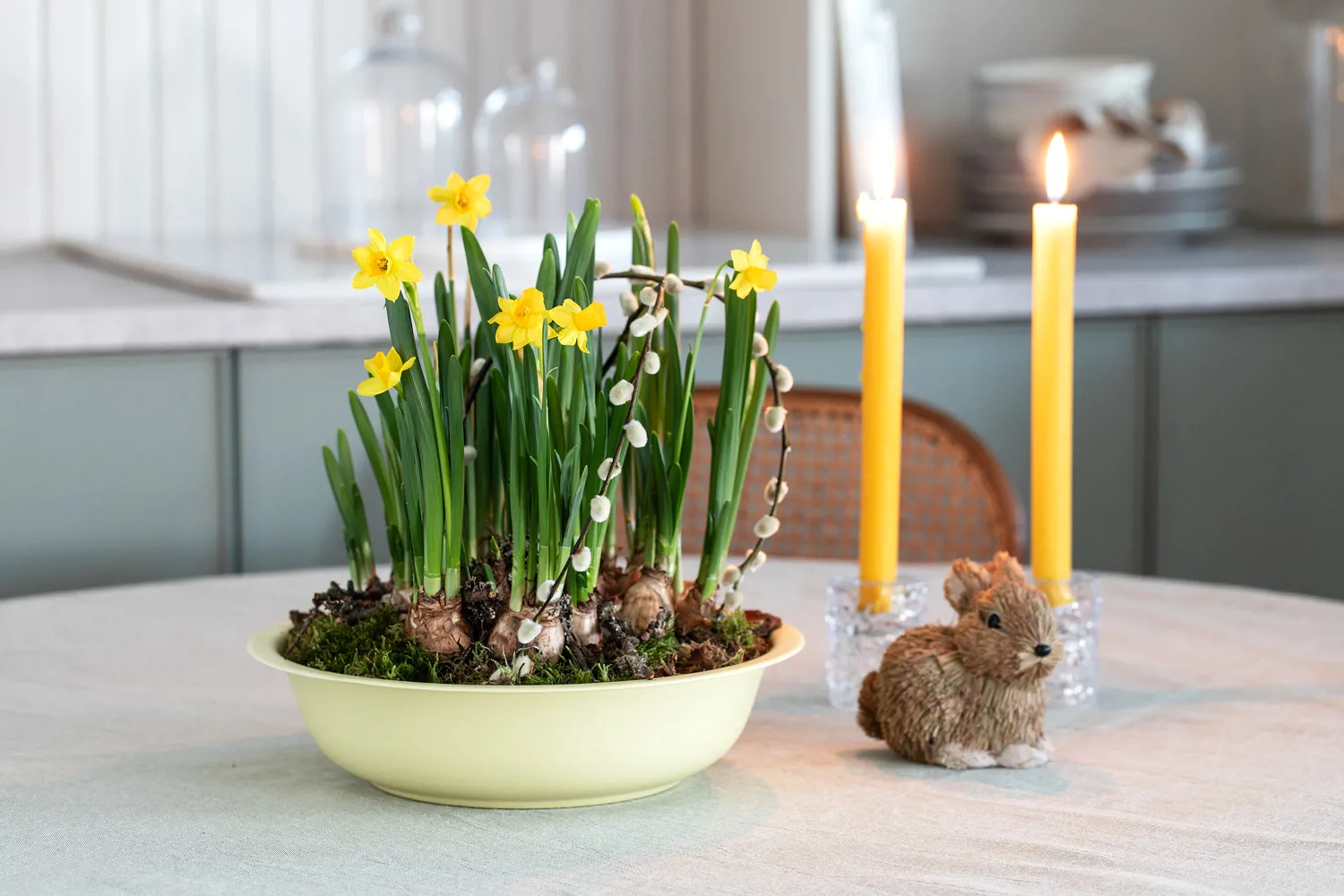 2 Narciss I Sinkfat Hampus Kanin