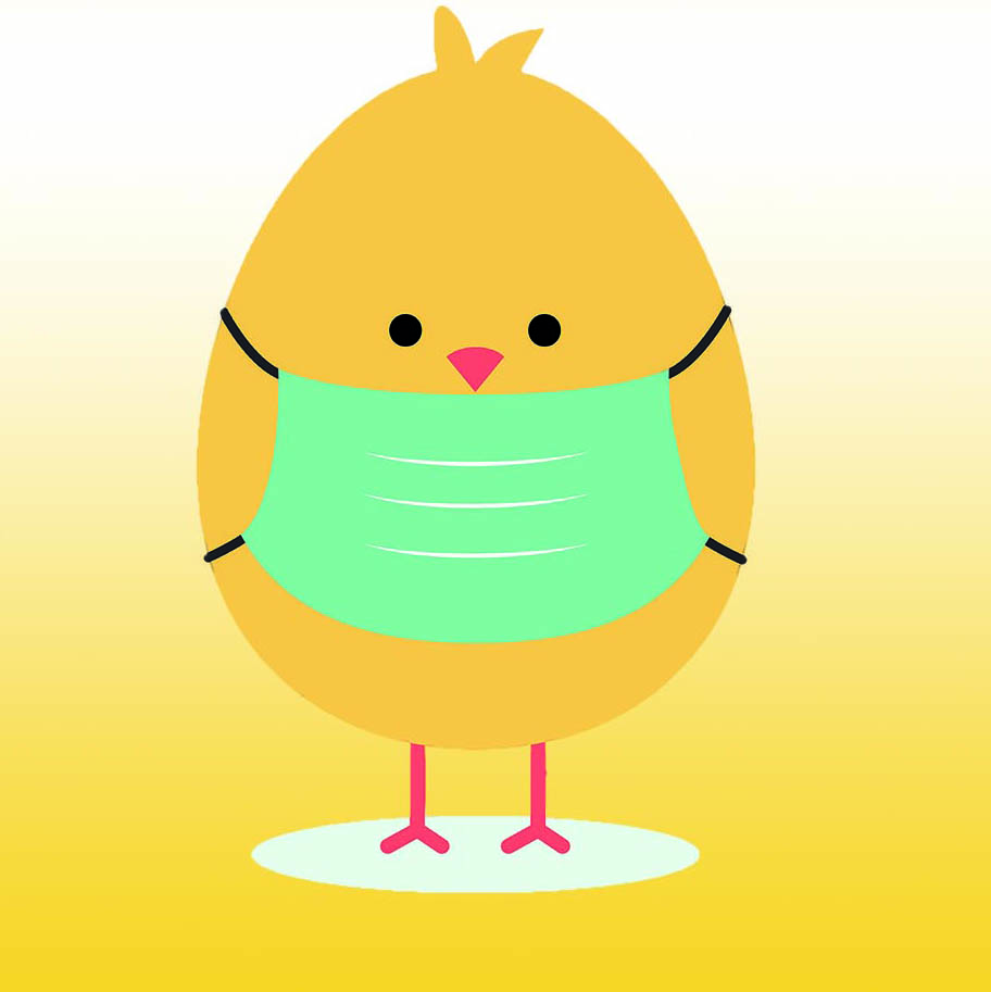 Kylling Munnbind 1000X1000