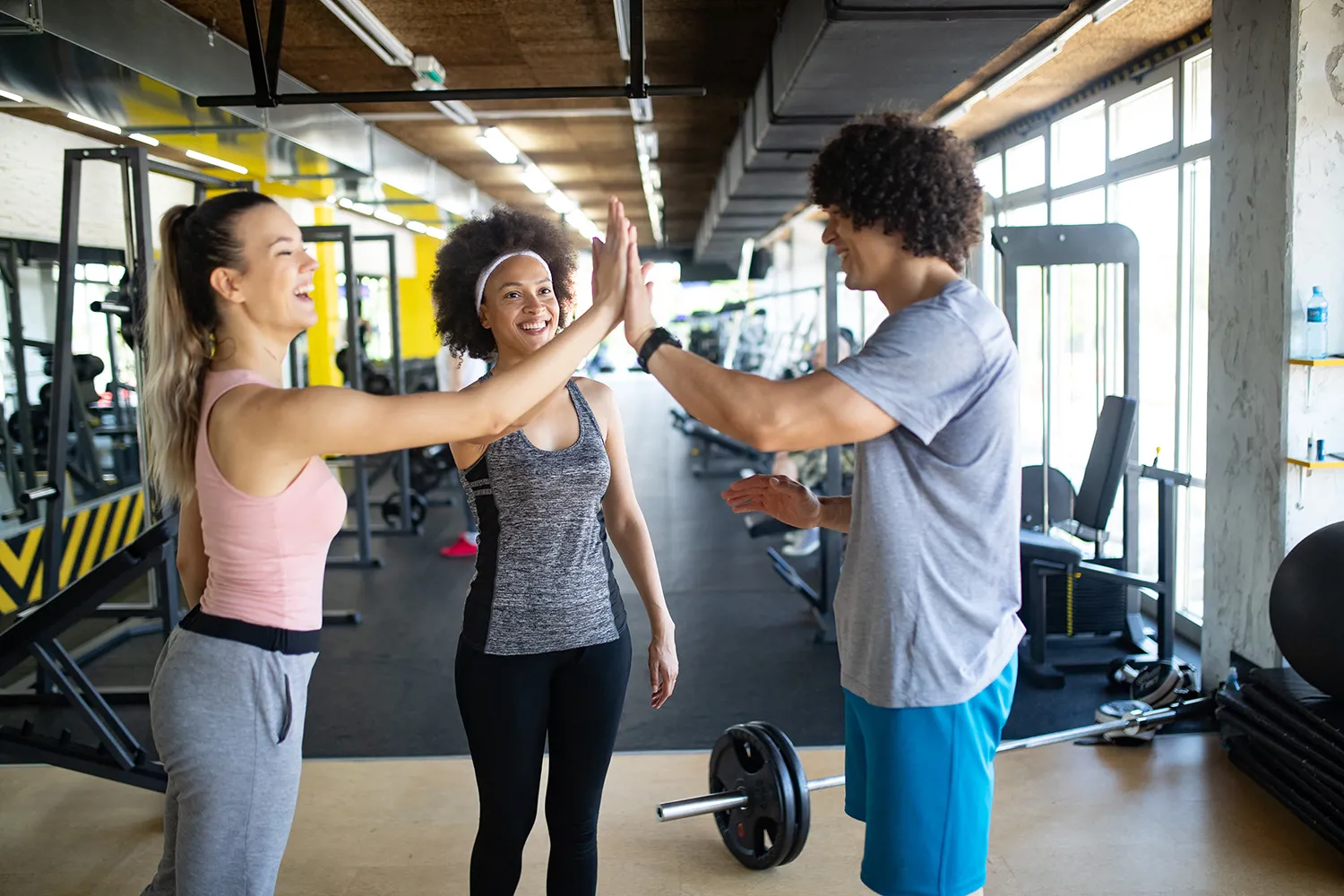 Alti Trening Treningsstudio Trene Sammen Styrke