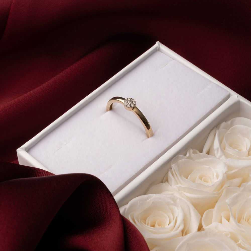 Bjørklund Ring 21.Okt 10.Nov