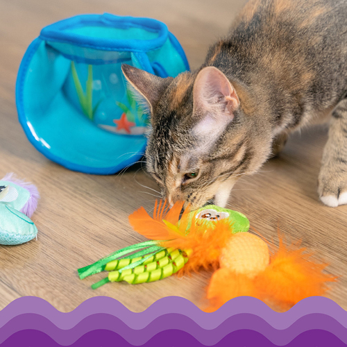 Pets Buddy Catstages Leke 20.11 7.12