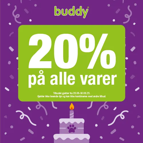 Buddy 20 År Tilbud 28. 30.Aug
