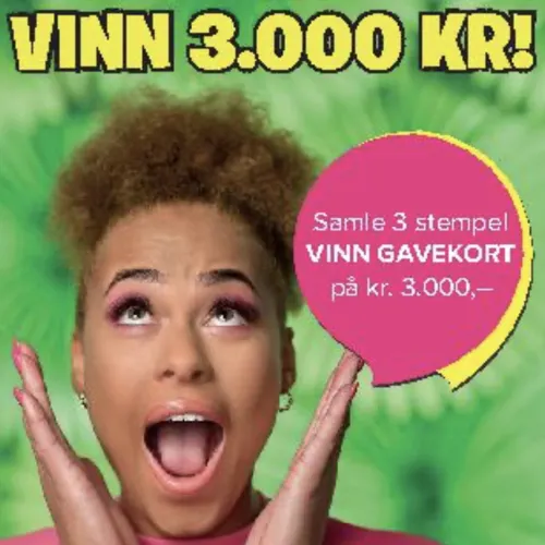 Skjermbilde 2025 03 17 Kl. 15.31.41