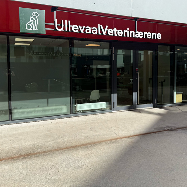 Ullevaalvetrinærene2