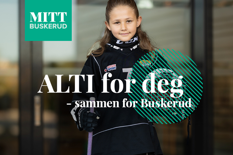 Mitt Buskerud Artikkelbilde