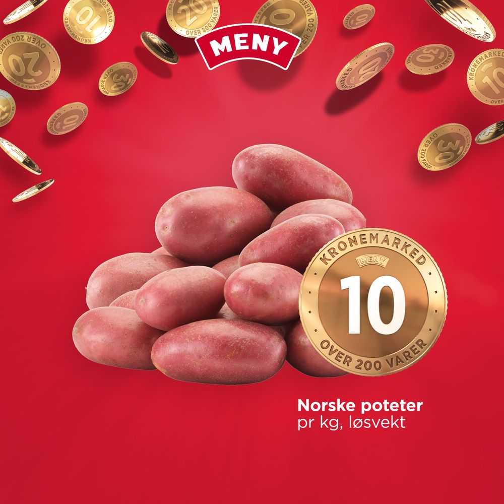 571041386 1359667169492489 2644927902980680030 N