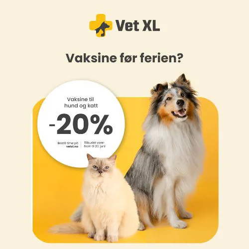Vetxl