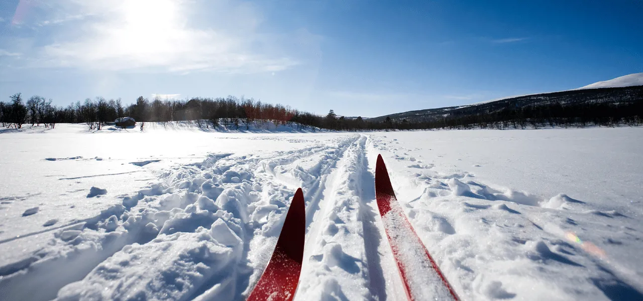 Alti Skitur Vinter Nyte Tips