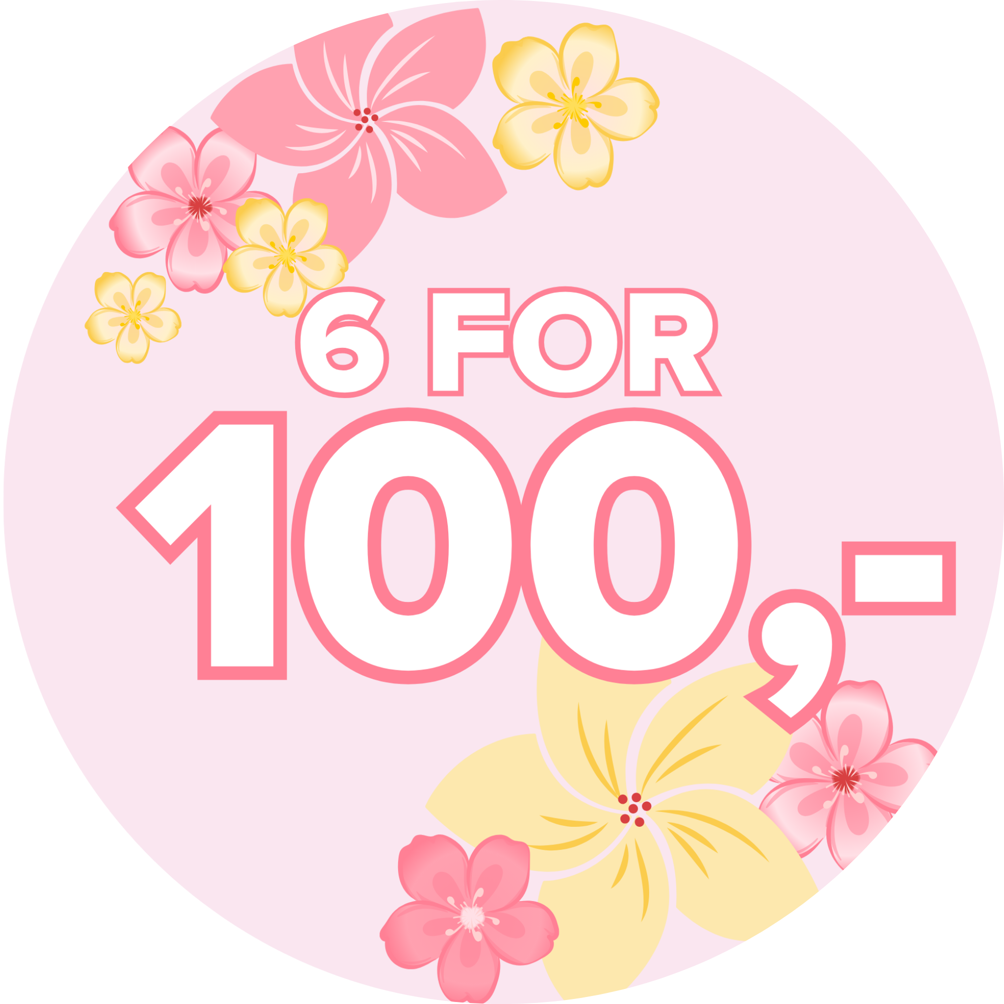 Sommer6for100