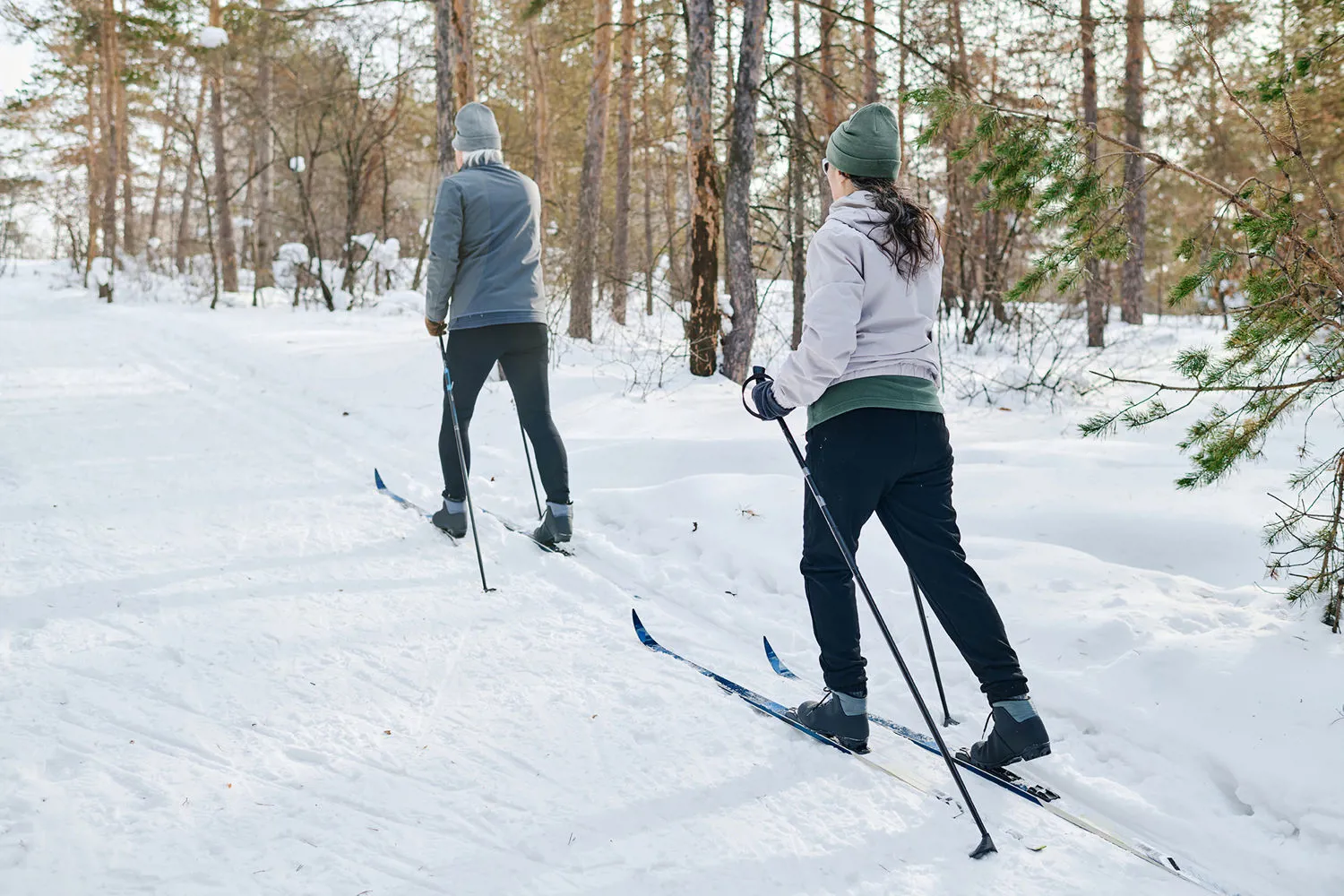 Alti Ski Skitur Vinter Trening Snø