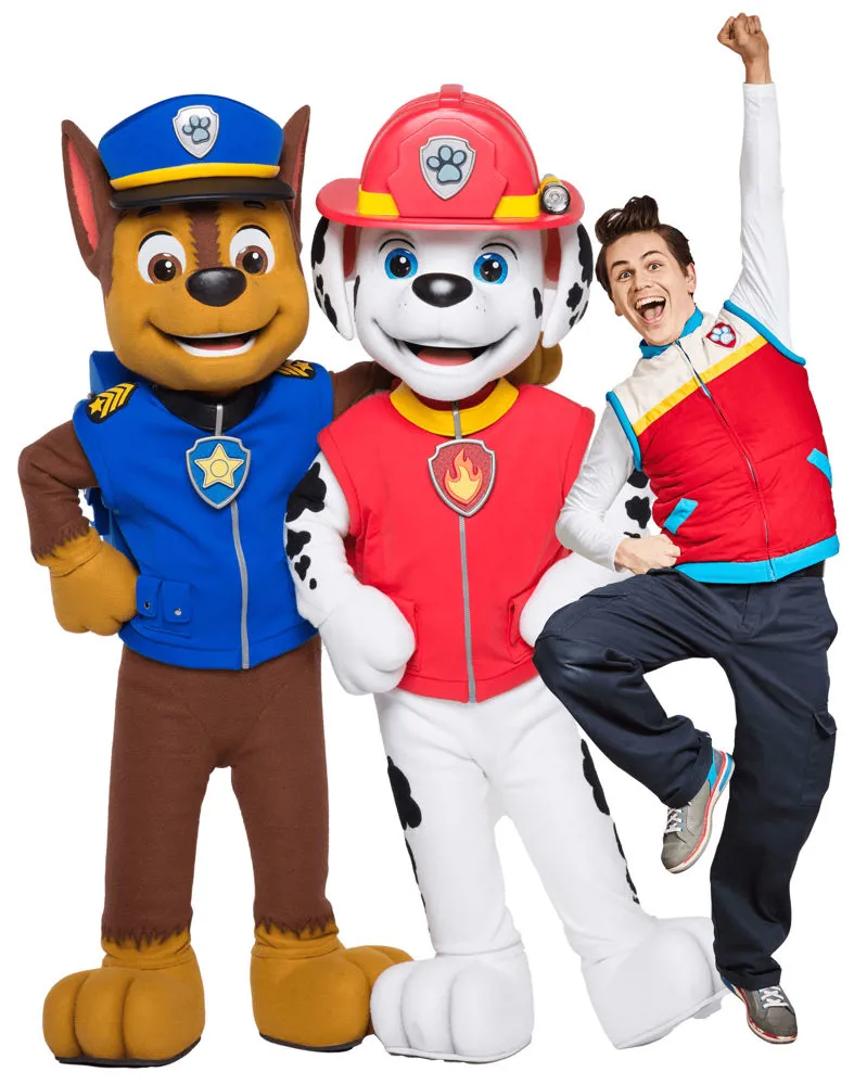 3DS Paw Patrol