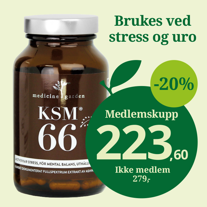 333 Dagers Sunkost 6