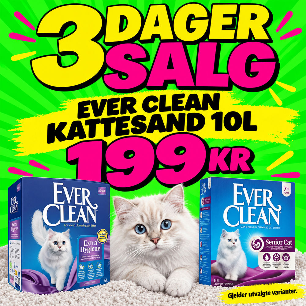 Kattesand Buddy