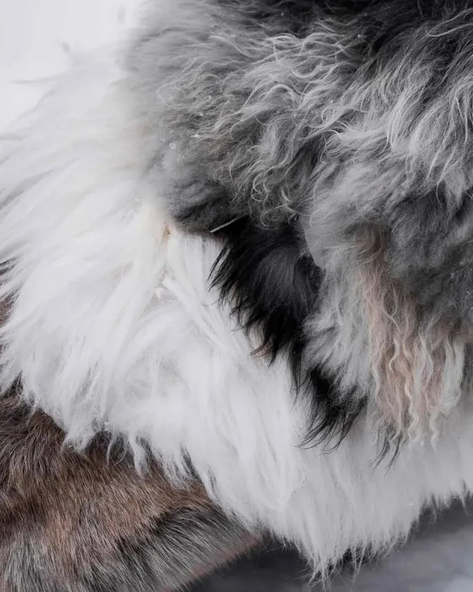 613936458 1335321131956123 7890598667144356278 N