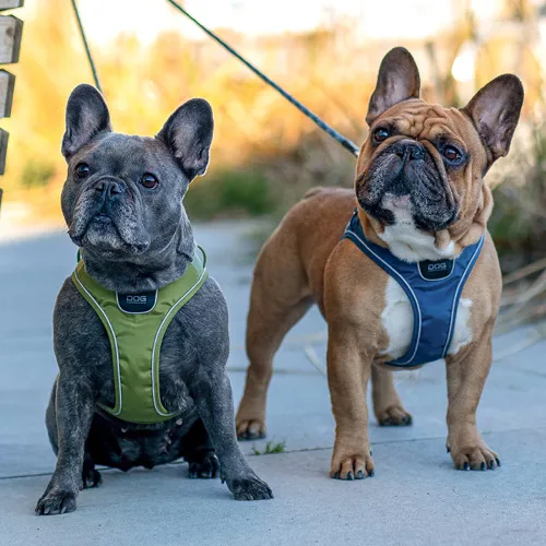Pets Seler DOG Copenhagen 30.5 7.6