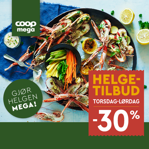 260318 U12 Mega Facebook 500X500 Ullevål