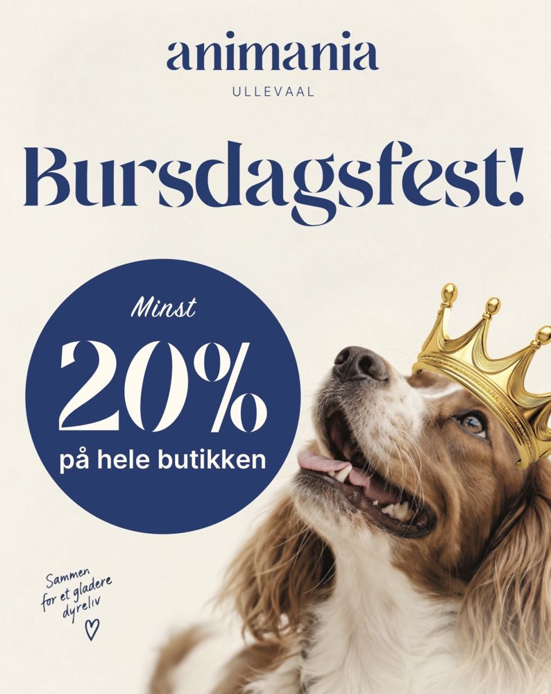 Animania Bursdag