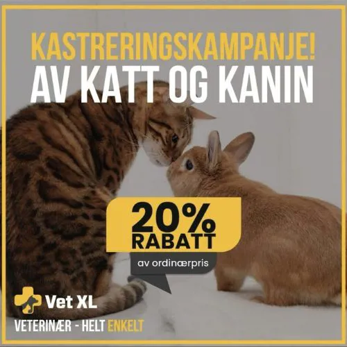 Vetxl