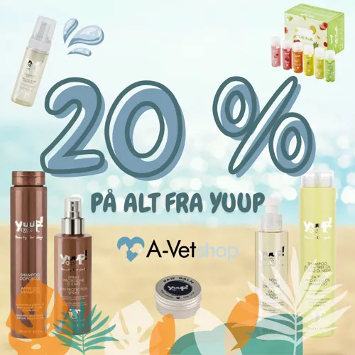 Avet 3