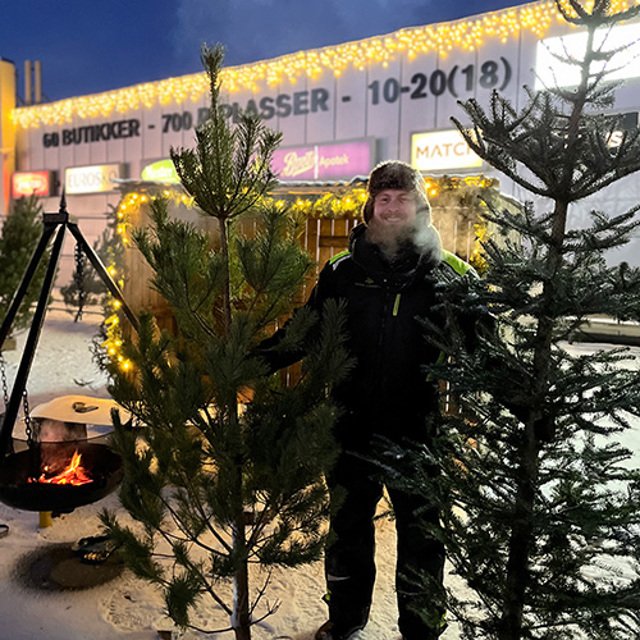 Hersel Juletresalg