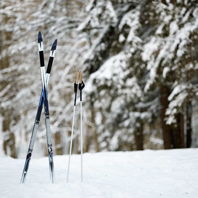 Alti Langrennski Skitur Skiutstyr