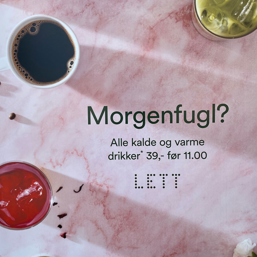 Lett Morgenfugl