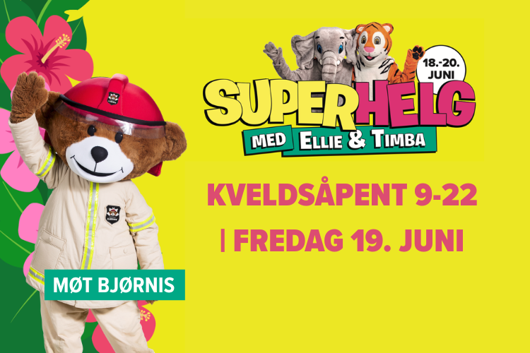 MØT BJØRNIS (1)