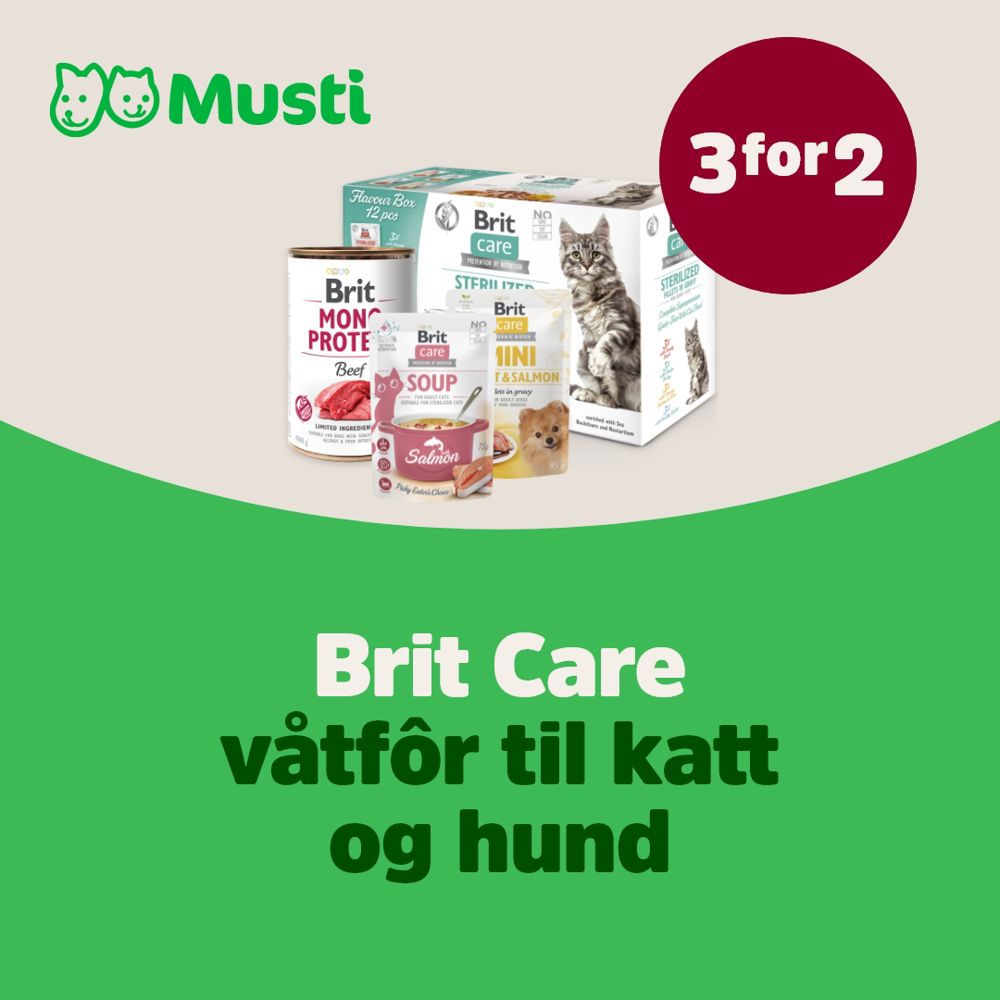 Original 4DF179F3 1831 4ED3 94B6 DA0BFDD8116E