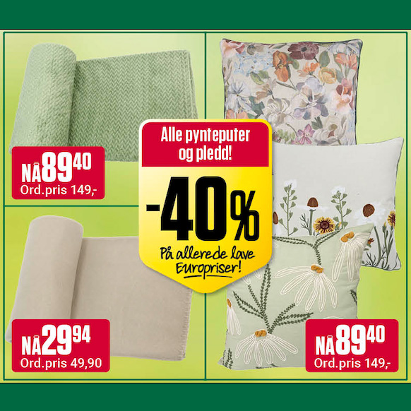 Europris 40% Alle Pynteputer Og Pledd U16