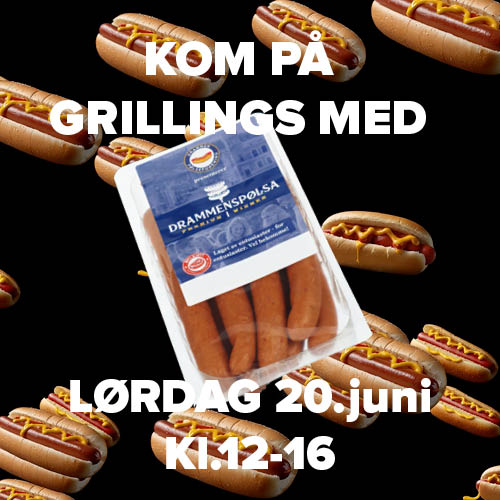Hjemmeside 500X5002