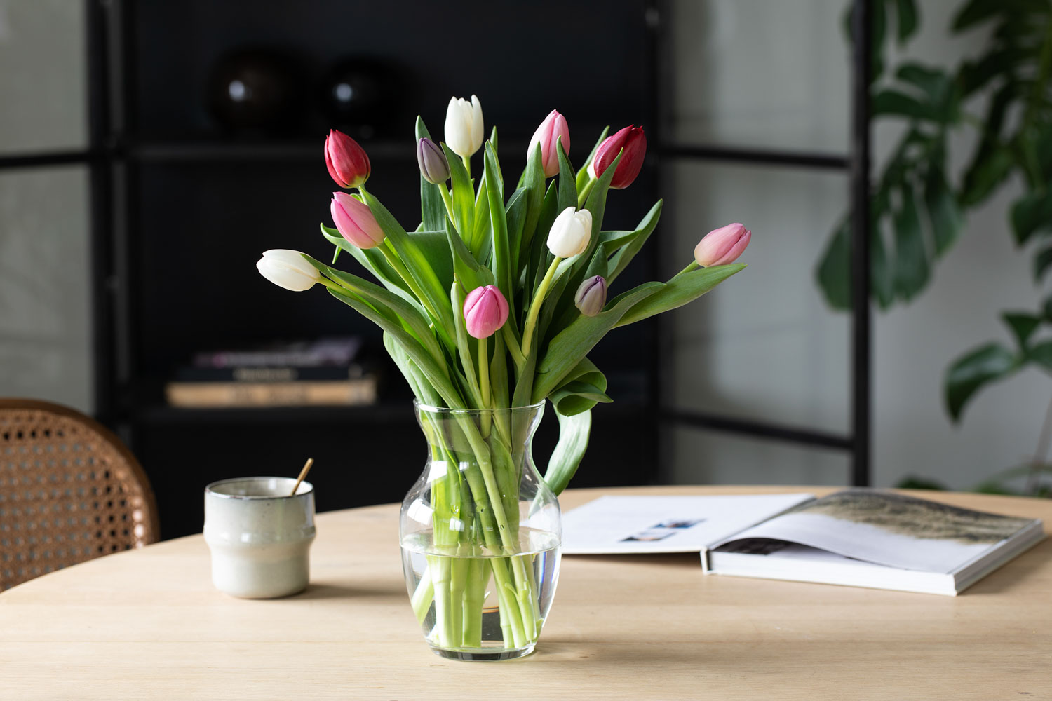 Mester Grønn Tulipaner