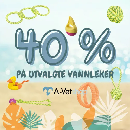 Avet 4