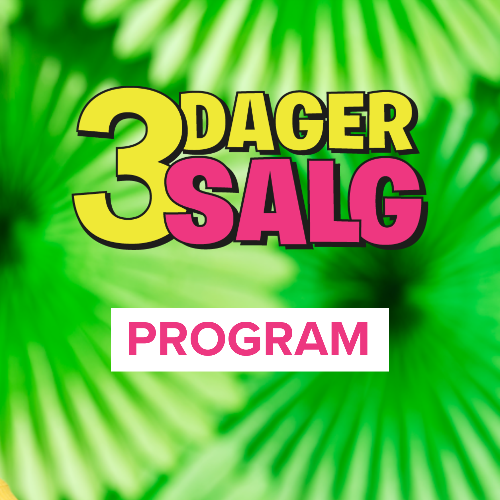 3 Dager Salg Program (1080 X 1080 Px)