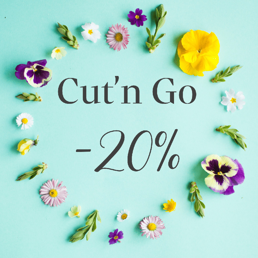 Cutngo 20% Div U42