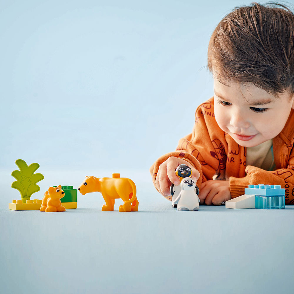 Ringo Duplo 30% 7. 20.September
