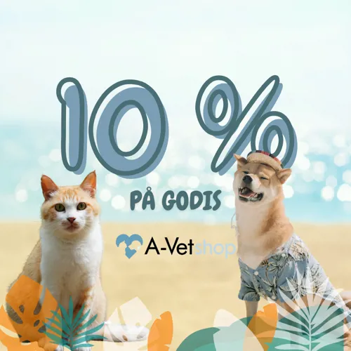 A Vet 2