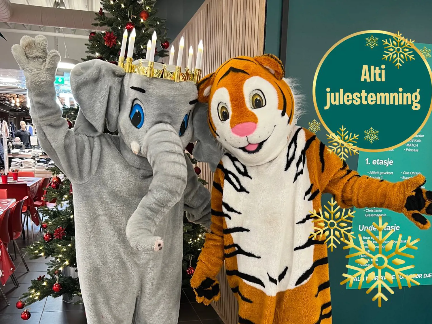 Lucia Ellie Og Timba