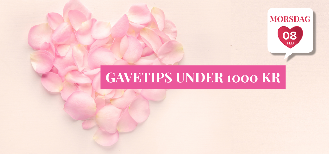 GAVETIPS UNDER 1000 KR