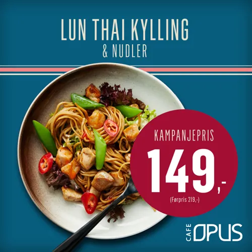 1024 Opus Lunthai 149Kr Square