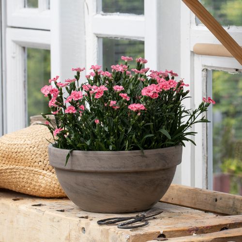 MG Hagenellik 29.Juni 4.Juli