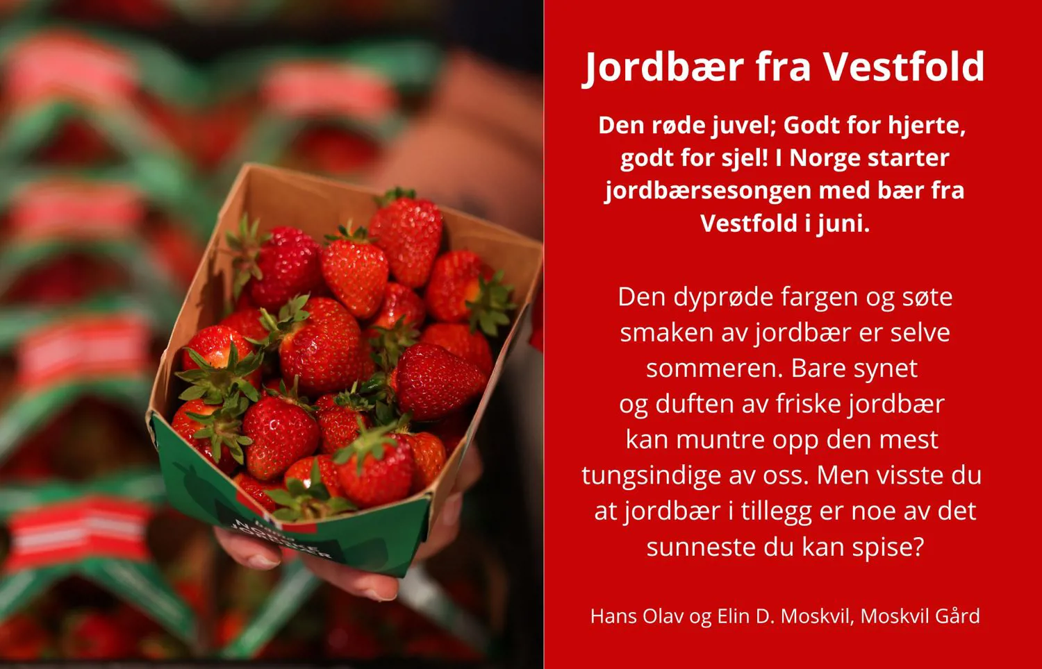 WEB Meny Sommer (3)