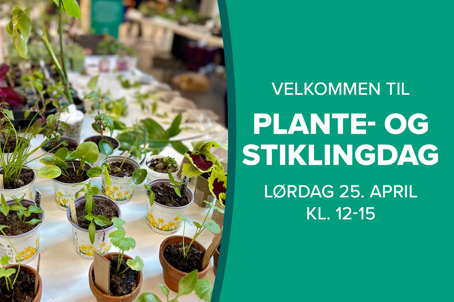 Stiklingdag Karusell 750X500 (2)